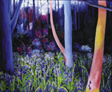 'Spring Wood' looking through the trees at bluebells and disolving vegetation