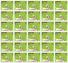 image of Vostok 6 stamp prints - green